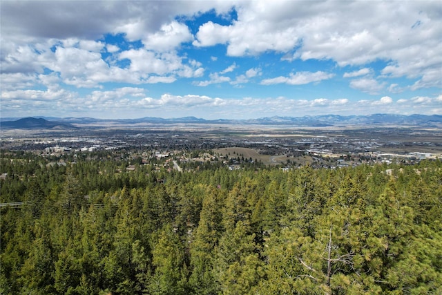 291 S Hills Rd, Clancy, MT 59634