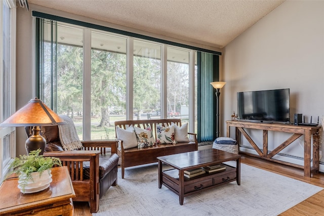 living area featuring a textured ceiling, vaulted ceiling, a healthy amount of sunlight, and wood finished floors