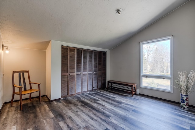 bonus room featuring baseboards, wood finished floors, and lofted ceiling