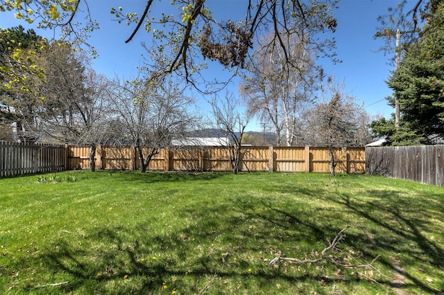view of yard featuring a fenced backyard
