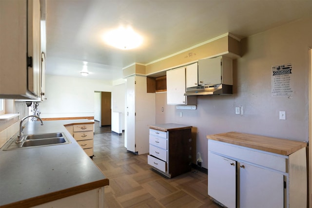 kitchen with under cabinet range hood and a sink