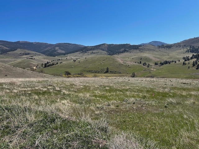 132 Hillview Dr, Plains, MT 59859