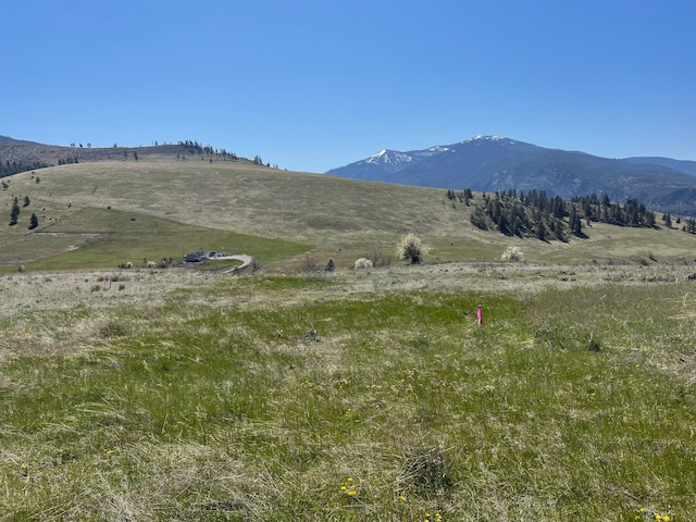 132 Hillview Dr, Plains, MT 59859