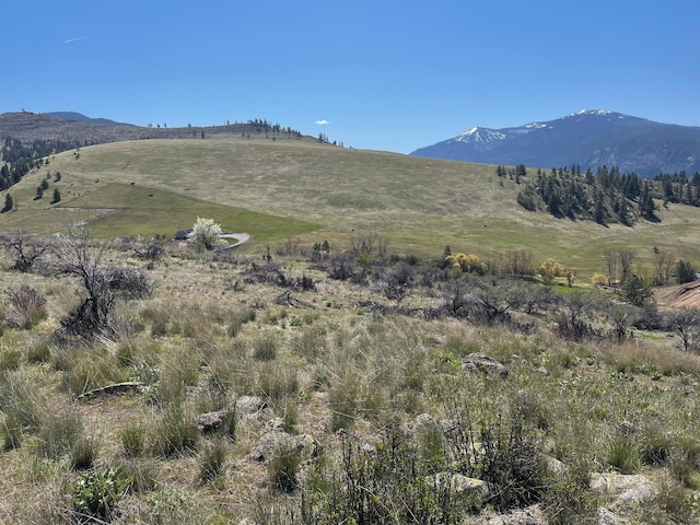 132 Hillview Dr, Plains, MT 59859