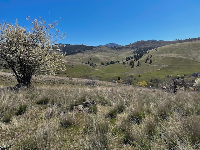 132 Hillview Dr, Plains, MT 59859