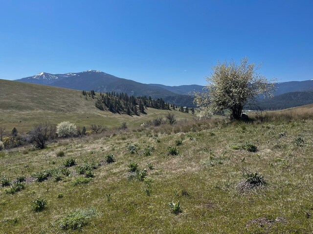 132 Hillview Dr, Plains, MT 59859