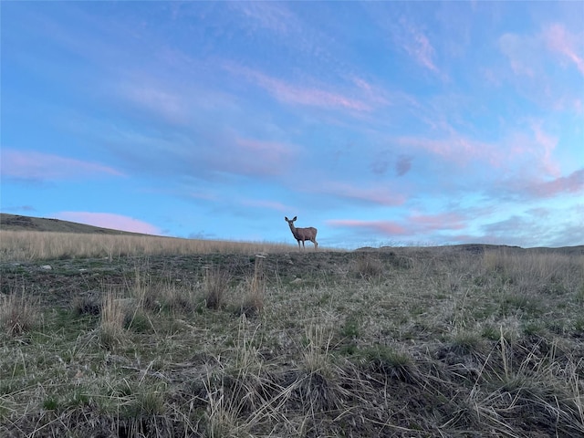 132 Hillview Dr, Plains, MT 59859