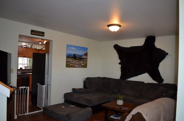 living room featuring radiator heating unit and dark wood-style floors