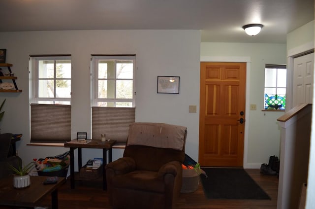 entryway featuring wood finished floors