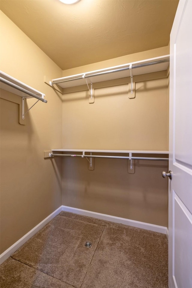 817 Vega Rd, Helena, MT 59602 - walk in closet with carpet flooring