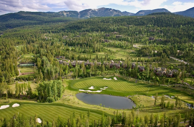 228 Arrowhead Dr, Whitefish, MT 59937