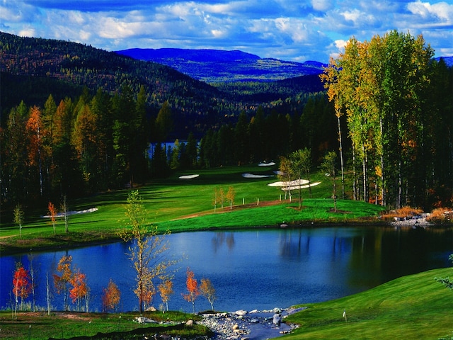 228 Arrowhead Dr, Whitefish, MT 59937