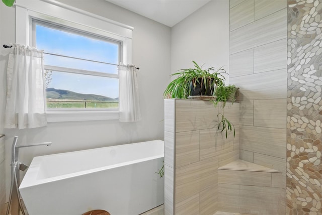 bathroom with a freestanding bath and a tile shower