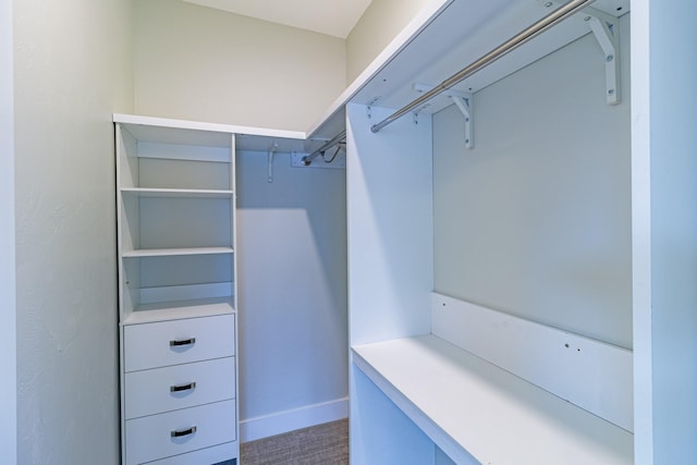 2214 S 12th St W, Missoula, MT 59801 - walk in closet with carpet flooring