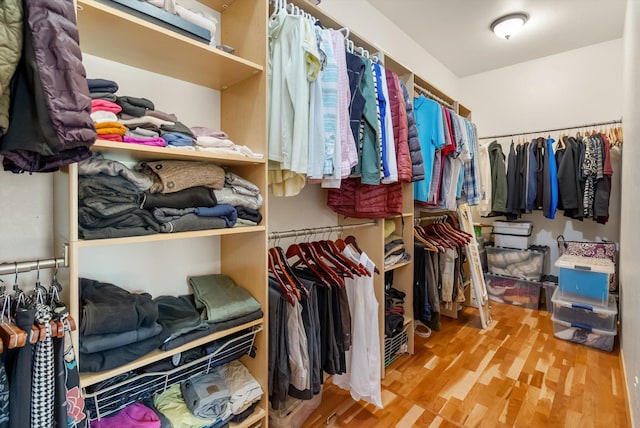 walk in closet featuring wood finished floors