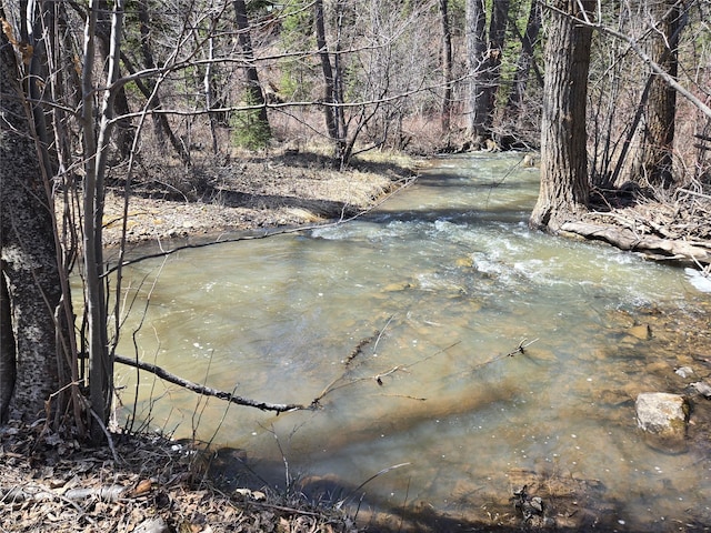 view of local wilderness