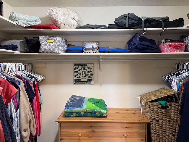 329 35th Ave NE, Great Falls, MT 59404 - view of spacious closet