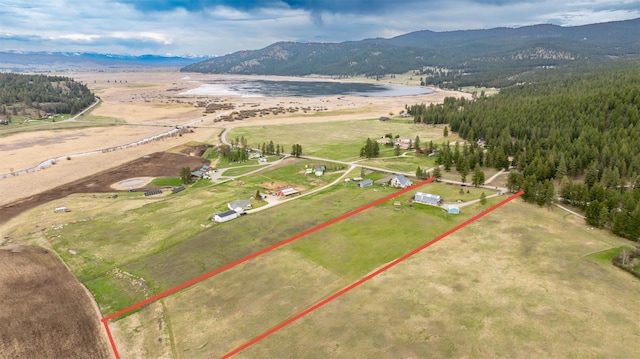 290 Browns Meadow Rd, Kila, MT 59920 - drone / aerial view with a mountain view and a wooded view