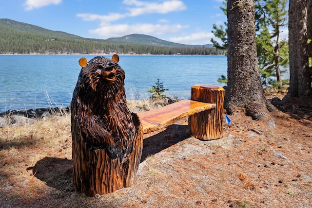 560 Mcgregor Ln, Marion, MT 59925 - water view with a mountain backdrop