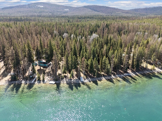 birds eye view of property featuring a water and mountain view and a forest view
