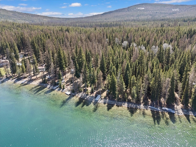 aerial view with a view of trees and a mountain view