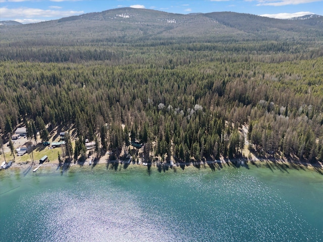 bird's eye view featuring a wooded view and a water and mountain view