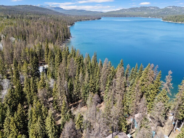 birds eye view of property with a water and mountain view and a forest view