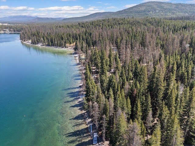 drone / aerial view featuring a view of trees and a water and mountain view