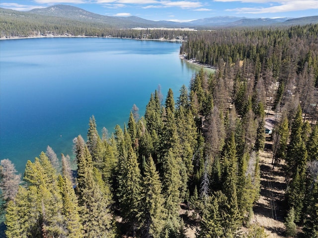 aerial view featuring a water and mountain view and a forest view