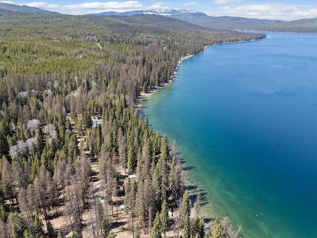 birds eye view of property with a water and mountain view and a view of trees
