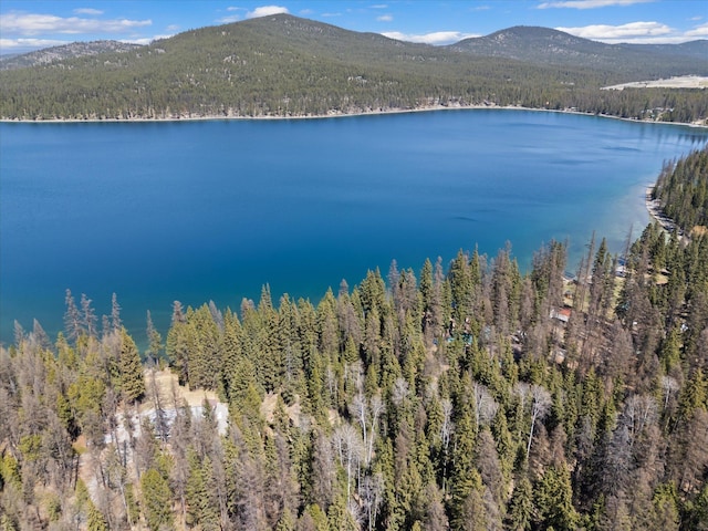 560 Mcgregor Ln, Marion, MT 59925 - water view with a forest and mountains