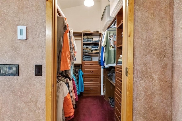 261 Green Briar Trl, Eureka, MT 59917 - spacious closet featuring dark colored carpet