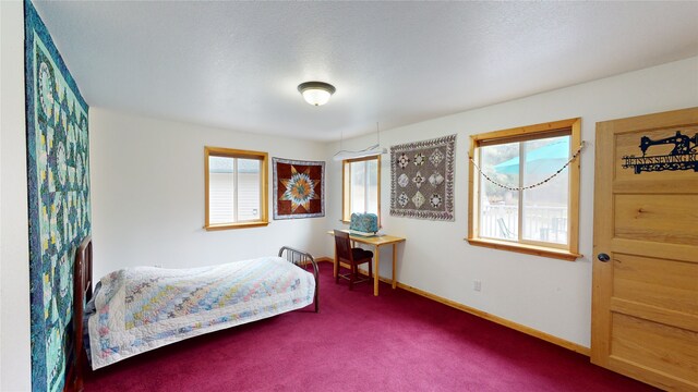 261 Green Briar Trl, Eureka, MT 59917 - bedroom with carpet flooring and baseboards