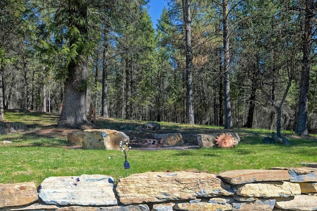 261 Green Briar Trl, Eureka, MT 59917 - view of home's community featuring a yard