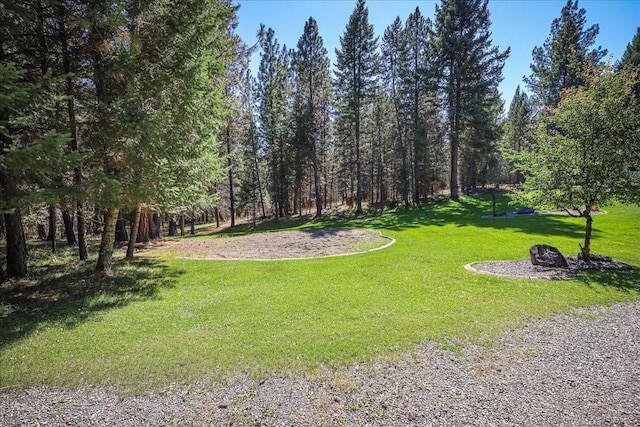261 Green Briar Trl, Eureka, MT 59917 - view of yard