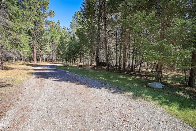 261 Green Briar Trl, Eureka, MT 59917 - view of street with a view of trees