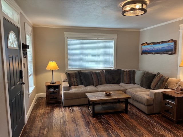 living room featuring crown molding, baseboards, and hardwood / wood-style floors