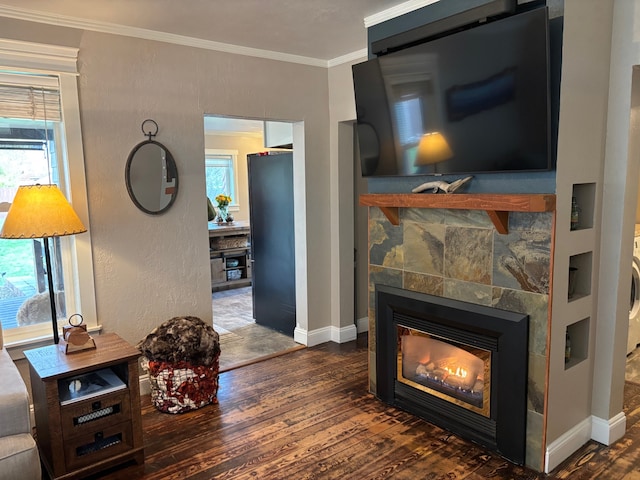 interior space featuring baseboards, a glass covered fireplace, wood finished floors, and a wealth of natural light