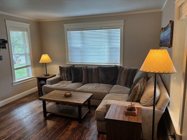living area featuring crown molding, baseboards, and wood finished floors