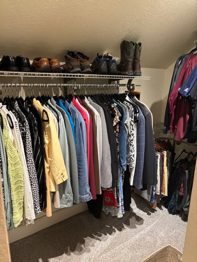 spacious closet featuring carpet flooring