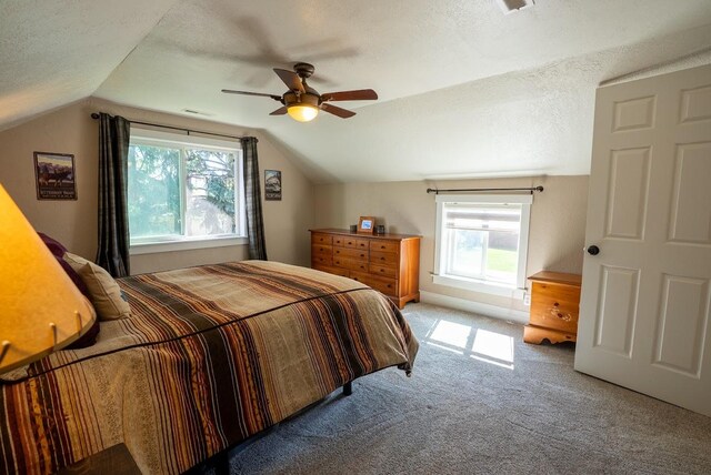 617 N 5th St, Hamilton, MT 59840 - carpeted bedroom with vaulted ceiling, a textured ceiling, multiple windows, and ceiling fan