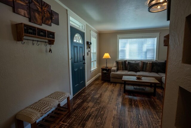 617 N 5th St, Hamilton, MT 59840 - living area featuring hardwood / wood-style flooring, ornamental molding, a textured wall, and baseboards