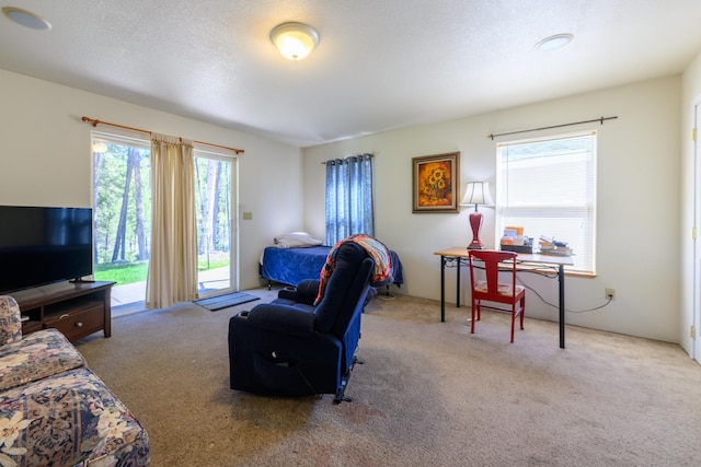 living room featuring carpet floors