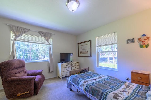bedroom with carpet floors