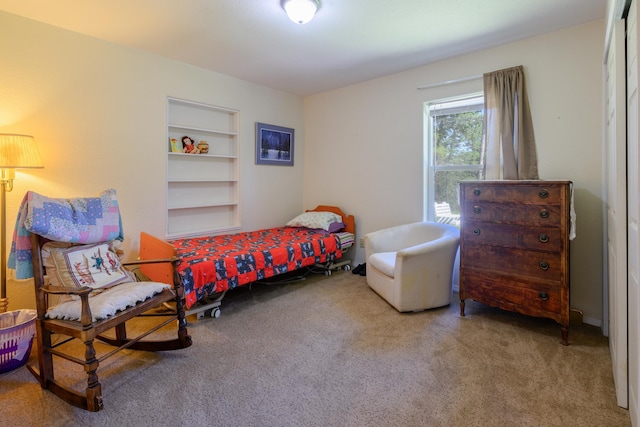 bedroom with carpet