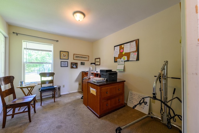 office space with carpet floors