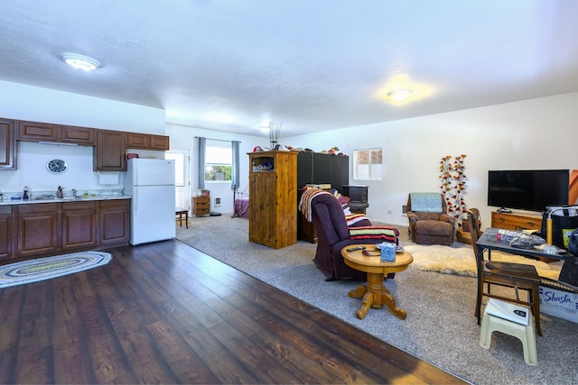 living room featuring dark wood-style floors