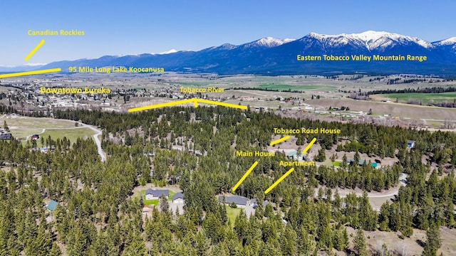aerial view featuring a mountain view