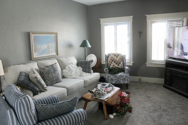 living area featuring carpet