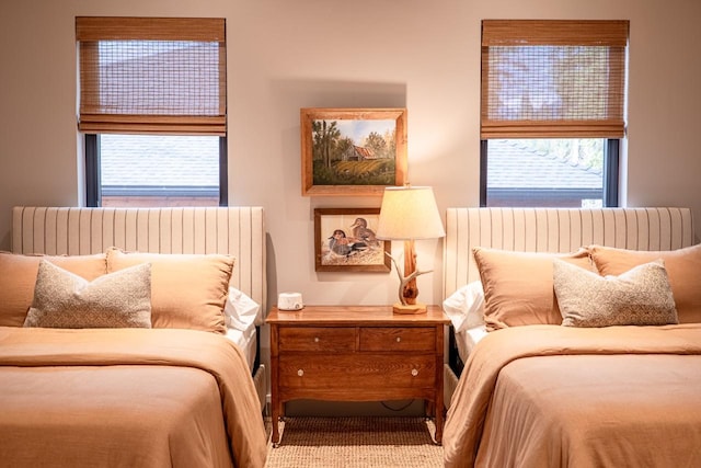 bedroom featuring carpet
